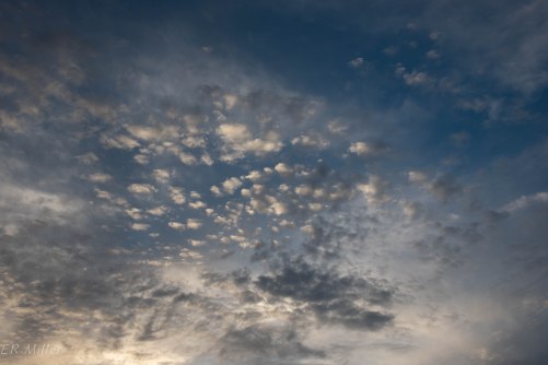 20150908-20150908-_DSC0079