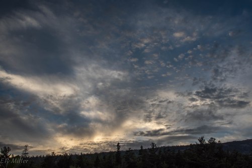 20150908-20150908-_DSC0081