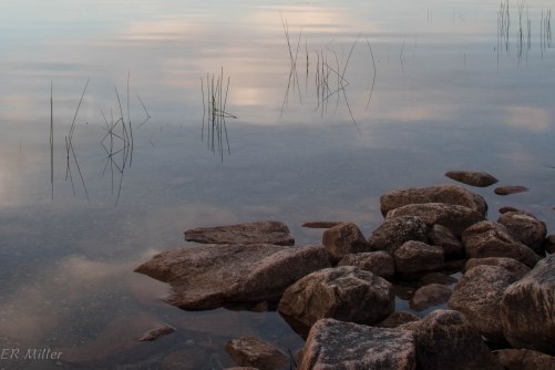 20150908-20150908-_DSC0087