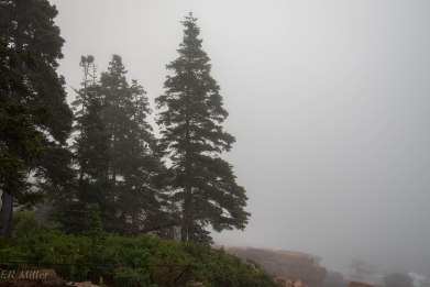 20150909-20150909-_DSC0007