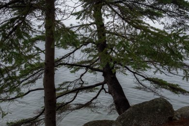 20150909-20150909-_DSC0050