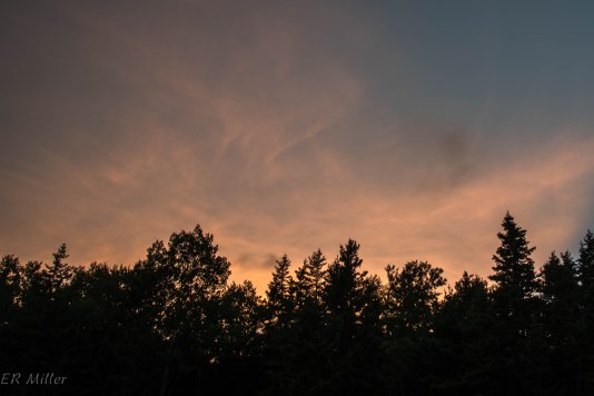 20150909-20150909-_DSC0124