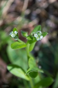 20150428-20150428-_DSC0038