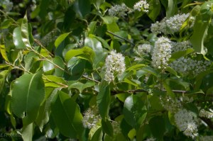 20150514-20150514-_DSC0060