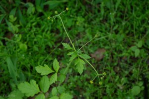 20150507-20150507-_DSC0111