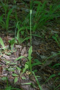 20150514-20150514-_DSC0234